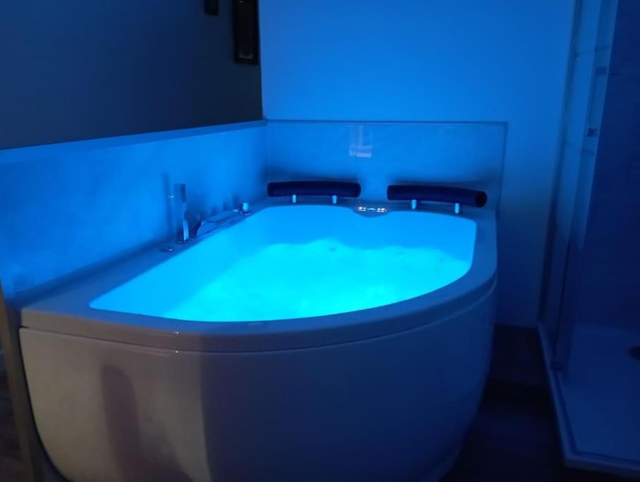 Sejour Sauna Et Jacuzzi Cocon Apartment